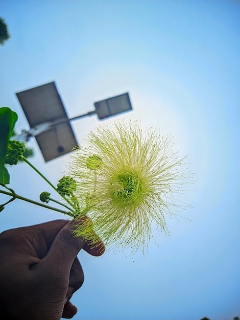 A depiction of a green, leafy tree transforming into a solar panel array, symbolizing the transition from natural resources to sustainable energy solutions. The image is vibrant and illustrates the concept of eco-friendly power generation.