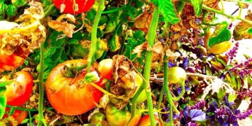Sustainable Living: Composting Guide - Turn Food Waste into Soil - Cover Image