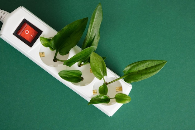 A close-up of a smart thermostat controlling a home's temperature, surrounded by green leaves and plants, symbolizing energy efficiency and eco-consciousness.