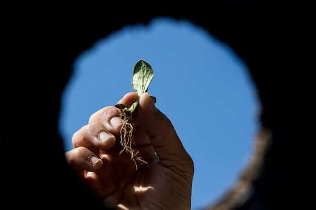 A close-up of hands planting a seedling in soil, symbolizing sustainable practices and environmental responsibility.