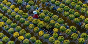 Sustainable Living: A 2025 Checklist for a Greener Lifestyle - Cover Image