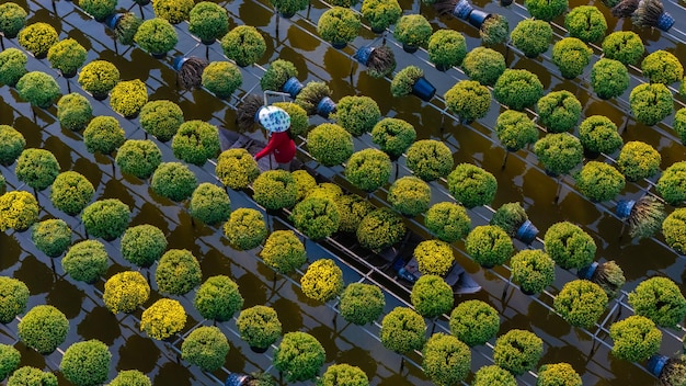Sustainable Living: A 2025 Checklist for a Greener Lifestyle