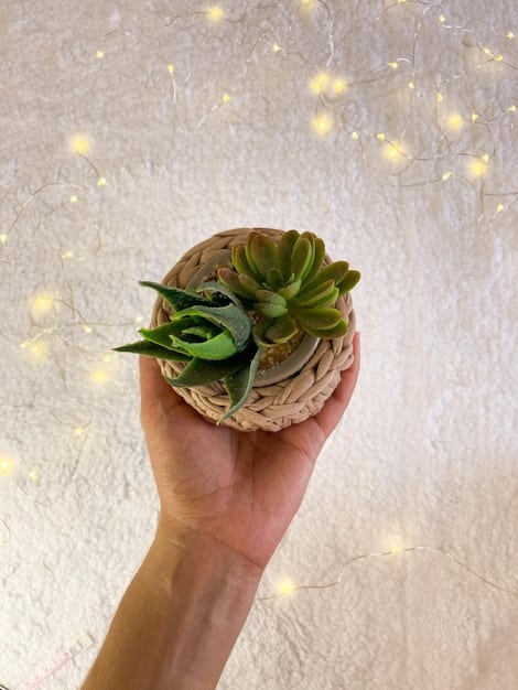 A close-up shot of a hand holding a small, potted succulent wrapped in burlap. The background is blurred, showing other plants and gardening tools, suggesting a focus on living, sustainable gifts.