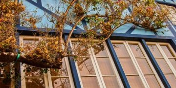 Maximize Your Savings: Energy-Efficient Home Upgrades with 2025 Tax Credits - Cover Image