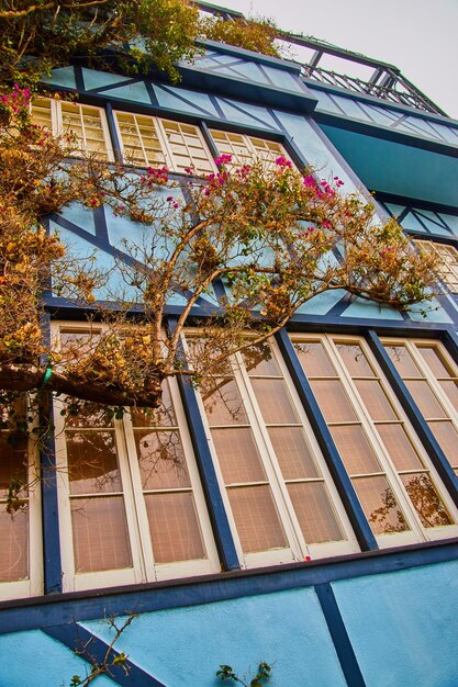 Maximize Your Savings: Energy-Efficient Home Upgrades with 2025 Tax Credits