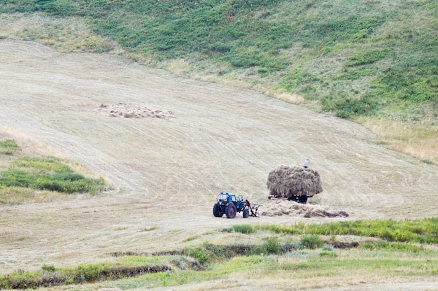 Depiction of an enhanced weathering operation, showing tractors spreading crushed basalt rock on agricultural fields, with visible chemical reactions occurring in the soil and CO2 being absorbed from the air.