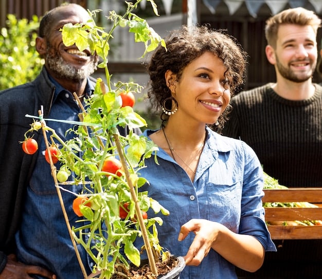 Effective Climate Change Communication Strategies in the US