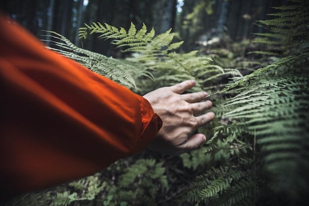 A person planting a tree, symbolizing carbon offsetting and environmental stewardship. The background includes a lush forest.