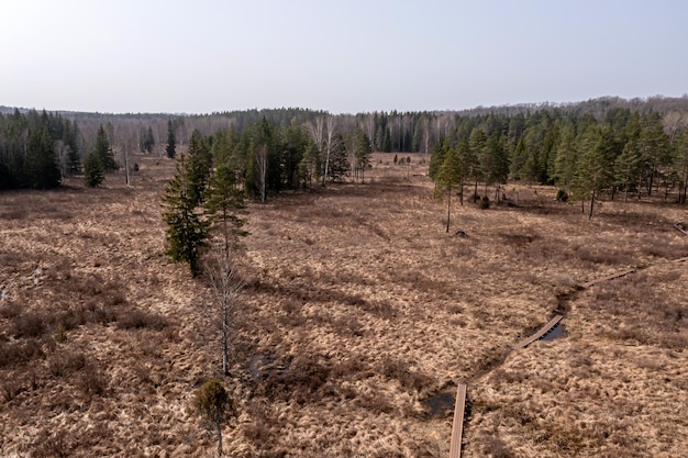 Deforestation & Water Quality in US: The Hidden Connection