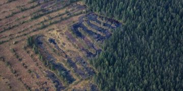 Deforestation's Impact on US Agriculture: Expect a 15% Yield Decrease? - Cover Image