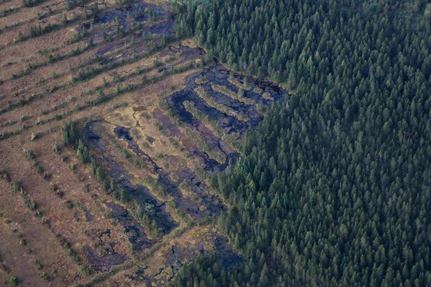 Deforestation’s Impact on US Agriculture: Expect a 15% Yield Decrease?