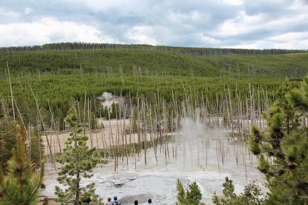 A visual representation of altered rainfall patterns in a deforested region compared to a forested area. The deforested area shows increased runoff and reduced groundwater recharge.