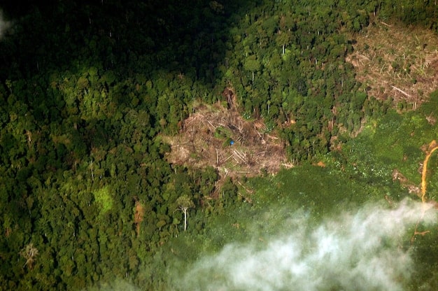 New EPA Report: Deforestation Fuels Rising US Wildfire Risk