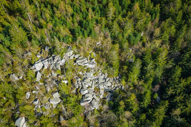 An aerial view of a forest in the Appalachian region showing the effects of mountaintop removal mining with significantly reduced forest cover compared to intact areas.