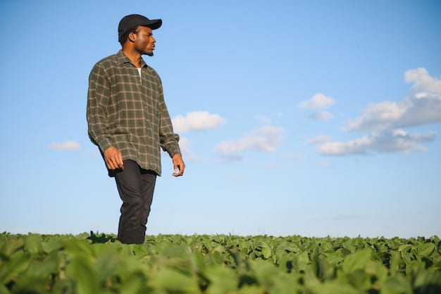 A farmer standing in a field of healthy cover crops, with a government agricultural specialist pointing out features of the crop. The image should symbolize collaboration and support for sustainable farming practices.