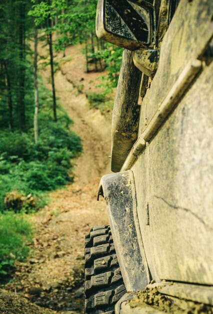 A close-up shot of a bulldozer clearing a forest area, focusing on the immediate destruction of trees and the disruption of the natural habitat. The image should convey the direct physical impact of deforestation.