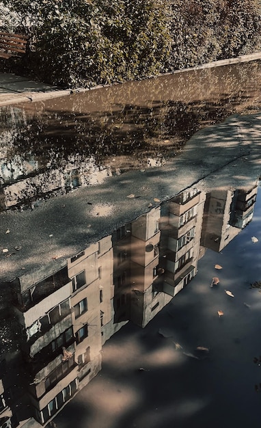 Deforestation and Flooding Risk: Is Your US Community Safe?