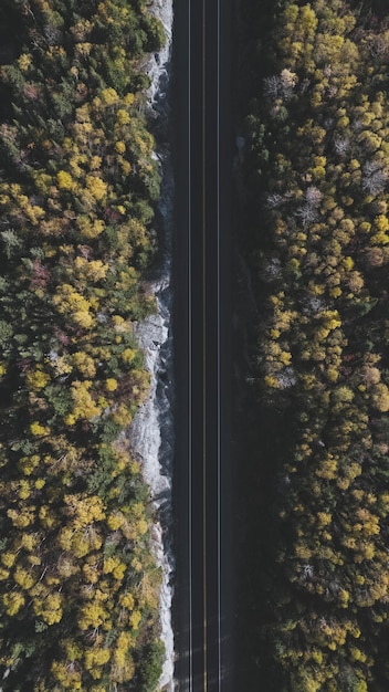 An aerial photograph depicting a forest bisected by a major highway. The road creates a clear break in the forest canopy, illustrating how transportation infrastructure leads to habitat fragmentation. The image shows the separation of wildlife populations and the creation of isolated habitats on either side of the road.