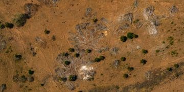 Deforestation & Water Cycles: A Crisis for US Agriculture - Cover Image