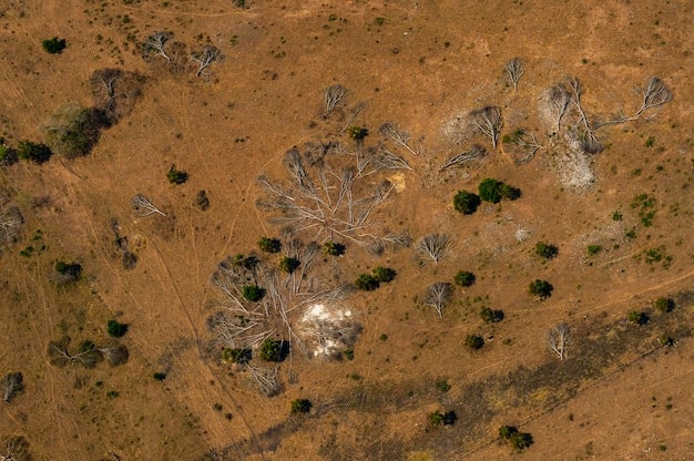 Deforestation & Water Cycles: A Crisis for US Agriculture