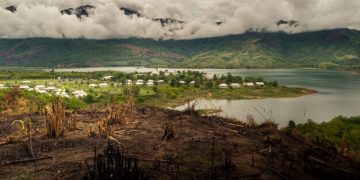 Deforestation & Displacement: An Ethical Dilemma for US Indigenous Communities - Cover Image
