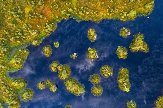 Latest Federal Grants for Wildlife Habitat Restoration in the US