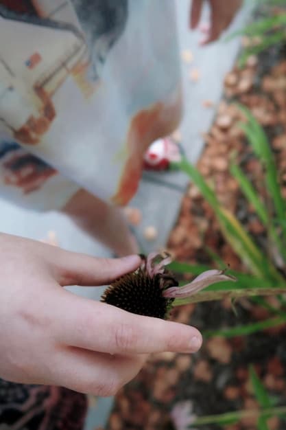 A close-up shot of a landowner inspecting a newly planted native tree seedling on their property. The image should convey a sense of dedication and hands-on involvement in habitat restoration.