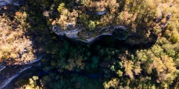 Protected Areas: New Research on Biodiversity Conservation in the US - Cover Image