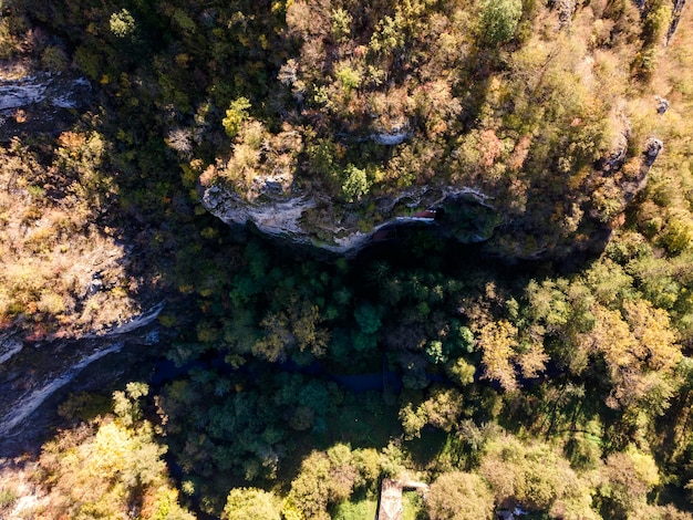 Protected Areas: New Research on Biodiversity Conservation in the US