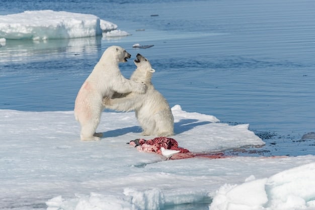 Latest Advancements in Wildlife Disease Management & Prevention