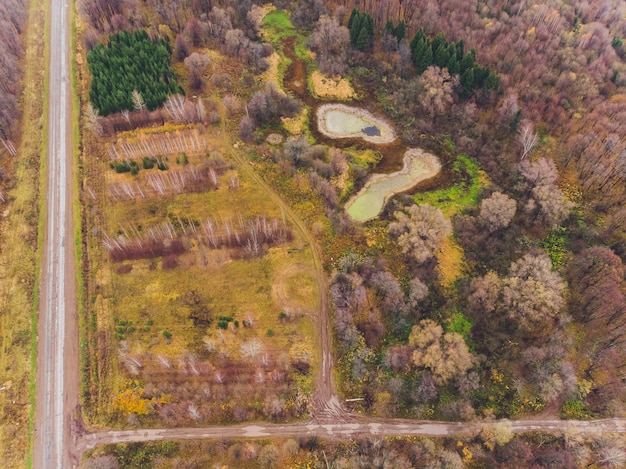 Habitat Fragmentation: Impact on Wildlife and Mitigation Strategies