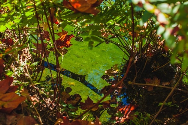 A photograph of a restored wetland area with diverse vegetation and wildlife. The image should show the positive impact of restoration efforts on biodiversity and ecosystem health.