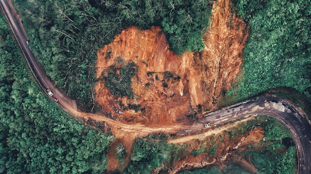 A satellite image showing stark contrast between a healthy green forest and large, brown, clear-cut areas, highlighting recent deforestation, with truck routes visible, indicating logging activity.