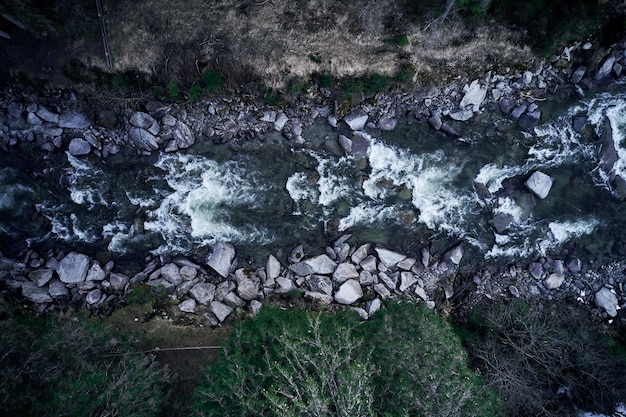 Deforestation’s Hidden Costs: US Water Treatment Faces $1.3B Impact by 2025