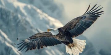 ESA Regulations 2025: Impact on Wildlife Conservation - Cover Image