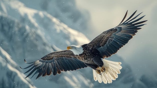 ESA Regulations 2025: Impact on Wildlife Conservation